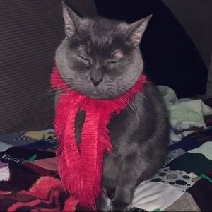 Meet your Posher, Janet